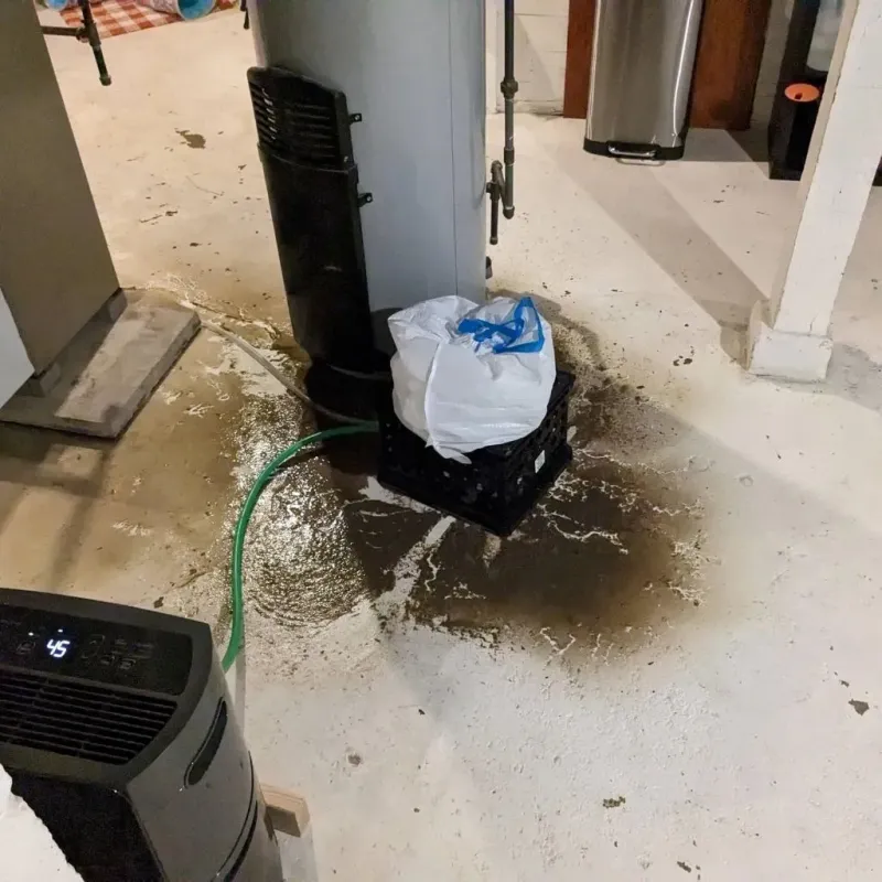Sewage Backup Cleanup Service in Buckner, MO